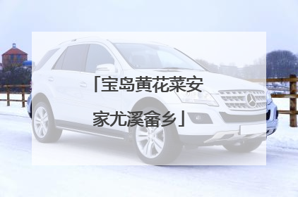 宝岛黄花菜安家尤溪畲乡